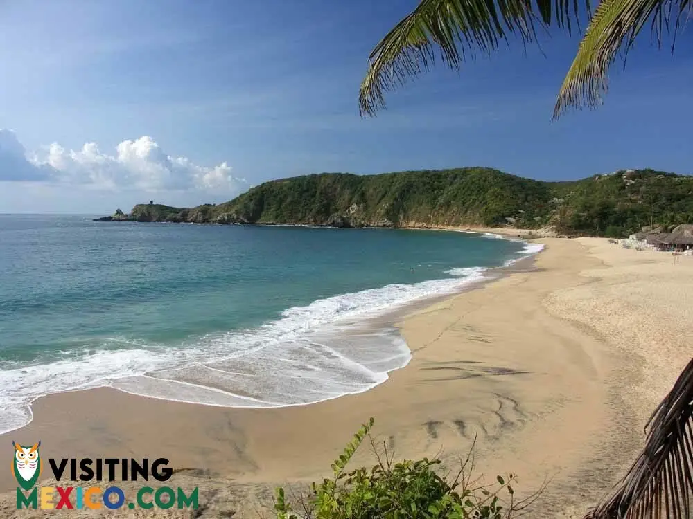 Mazunte Oaxaca