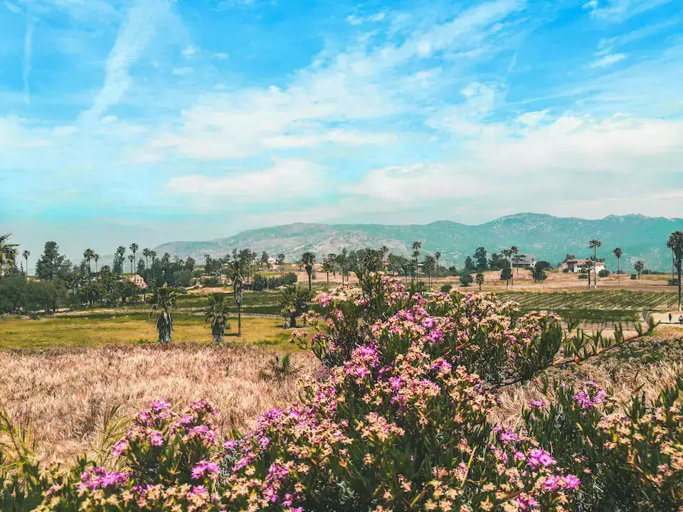 Tecate Baja California nature