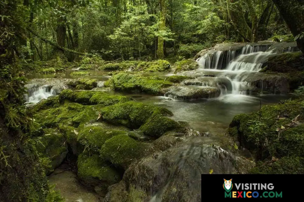 El Cielo Biosphere Tamaulipas waterfall