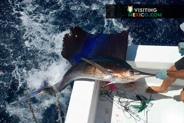 Fishing in Mexico