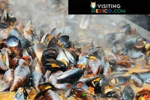 SAN FELIPE CLAM FEST