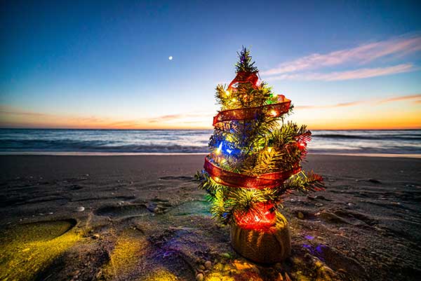 Small Christmas Tree on the Beach in Mexico