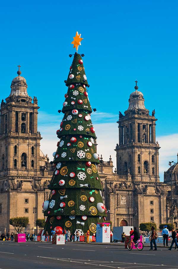 Christmas tree in mexico city - zocalo - pino de navidad