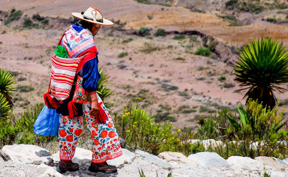 Portrait Huichol in Real de 14