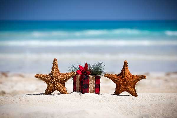 starfish in mexico during the holidays on the beach with a gift - regalito on the beach