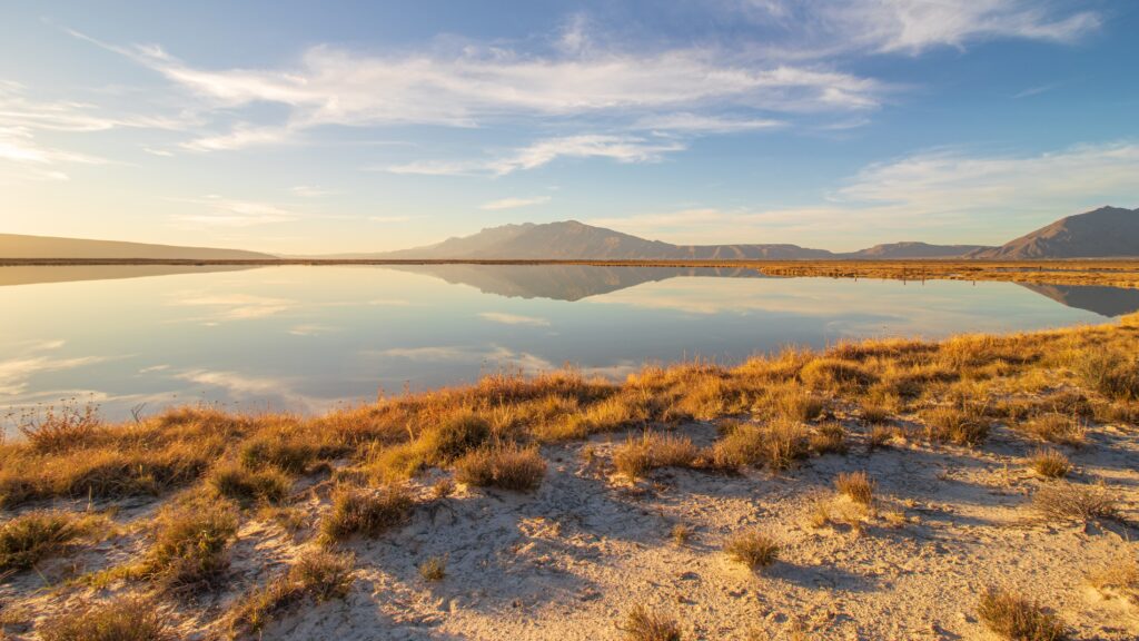 Cuatro Cienegas Coahuila